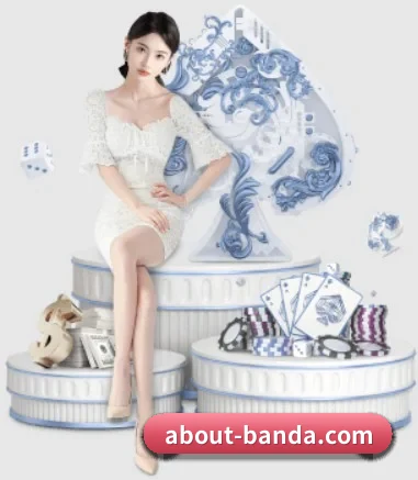 半岛综合 APP